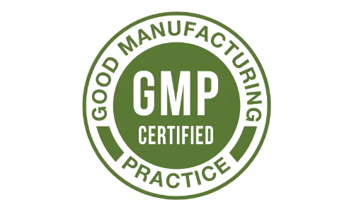 cognifort plus GMP Certified 